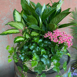 Mixed potted plants with white peace lilies and pink flowers in a wicker basket.