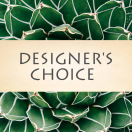 Designer’s Choice sign over a close-up of green succulent leaves