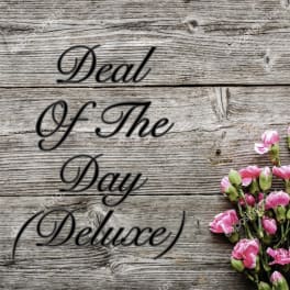 Pink carnations beside the words "Deal Of The Day" on a wood background