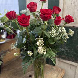 A Dozen Deluxe Roses