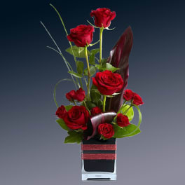 Teleflora's Romance Roses