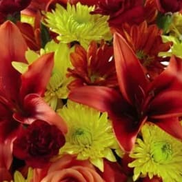 Red lilies and yellow chrysanthemums in a close-up bouquet