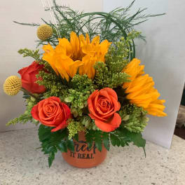 Orange and red roses with yellow blooms in a terracotta pot