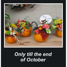 Mini Pumpkin Arrangement