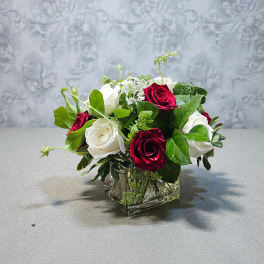 Elegant Rose Cube in Red and White