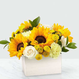 Sweet as Lemonade Sunflower Bouquet