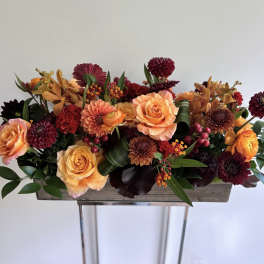 Autumn Highlight