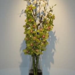 Tall floral arrangement with green orchids in a glass vase