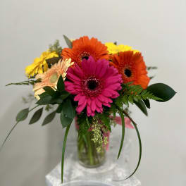 Happy Gerbera Daisies by Westford Florist Art by Veny