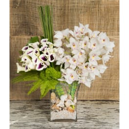 White orchids and purple-edged calla lilies in a glass vase