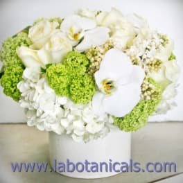 White roses and orchids in a white vase with bright green blooms