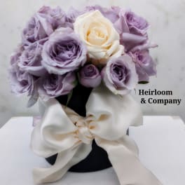 Lavender and white roses arranged in a black box with a large cream ribbon.