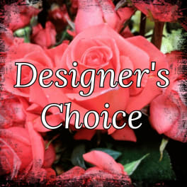 Designer's Choice