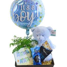 Baby boy gift basket with balloon, teddy bear, plant, and treats