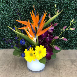 Tropical bouquet with orange bird of paradise and purple orchids in a white vase