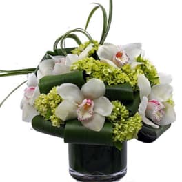White orchids and green blooms arranged in a dark glass vase