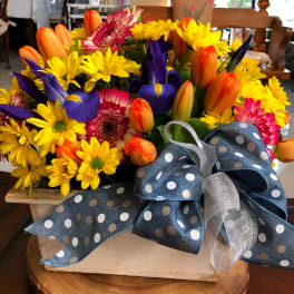 Mixed bouquet of yellow daisies, orange tulips, and purple irises with a polka-dot ribbon