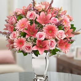 Dazzle Her Day (Silver Vase Not Available)