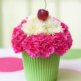 Cupcake in Bloom