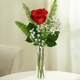 Love's Embrace Roses - Red