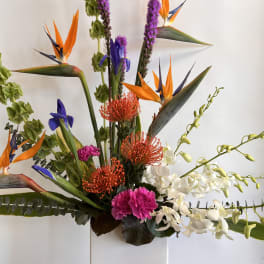 Tropical arrangement with bird-of-paradise, orchids, and orange pincushion blooms