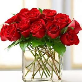 Modern Roses One Dozen Red
