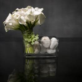 Lady Calla