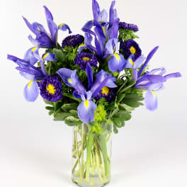 Purple irises and dark purple daisies in a clear glass vase