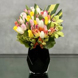 Fanciful Tulips