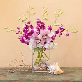 Pink and purple orchids in a clear glass vase with seashells