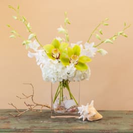 White and lime orchids arranged in a clear rectangular vase