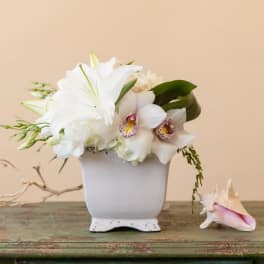 White floral arrangement in a white vase with a seashell beside it