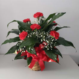 Basket arrangement of red carnations with white baby's breath and a red ribbon
