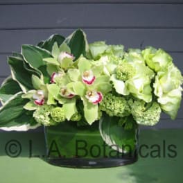 Green orchid and hydrangea arrangement in a glass vase
