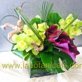 Bouquet of lime green orchids and purple calla lilies in a glass vase