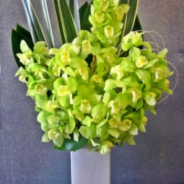 Green orchid arrangement in a tall white vase