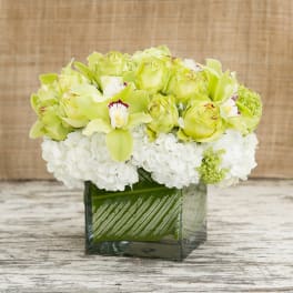 Green and white floral arrangement in a square glass vase