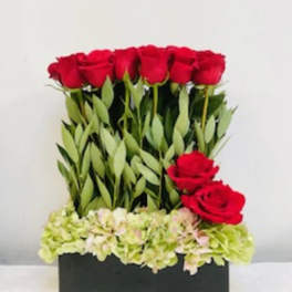 Red roses arranged in a black rectangular box with pale hydrangeas