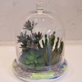 Succulent arrangement under a glass cloche on a decorative base