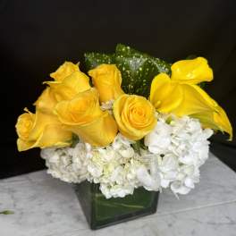 Yellow roses and white hydrangeas in a square glass vase