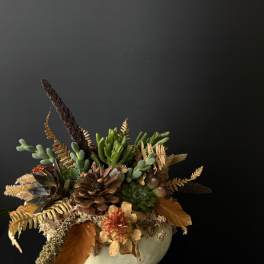 Succulent arrangement in a white bowl with dried autumn foliage