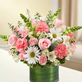 Cherished Memories - Pink and White