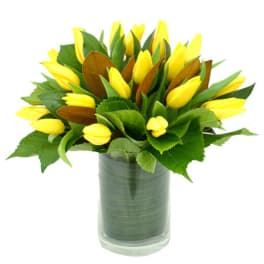 Yellow tulips arranged in a clear glass vase
