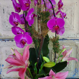 Pink orchids and lilies arranged in a floral pot