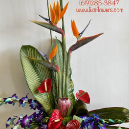 Tall tropical arrangement with orange bird-of-paradise and red anthuriums