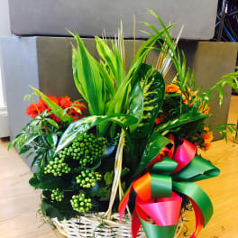 Mixed plant basket with red and orange blooms and a colorful ribbon bow
