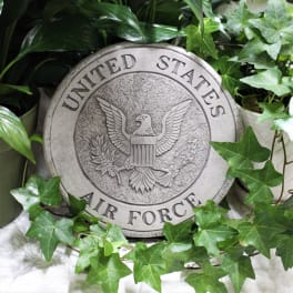 United States Air Force emblem surrounded by ivy leaves