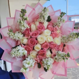 Pink and white roses