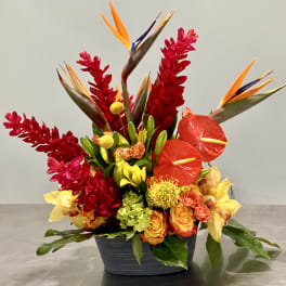 Tropical arrangement with red ginger, birds of paradise, anthurium and mixed bright flowers in a gray ceramic container