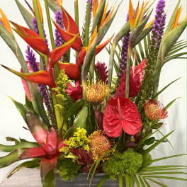 Tropical floral arrangement with red anthuriums and orange heliconia in a gray container